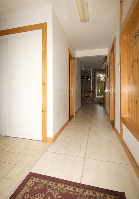 p1.jpg