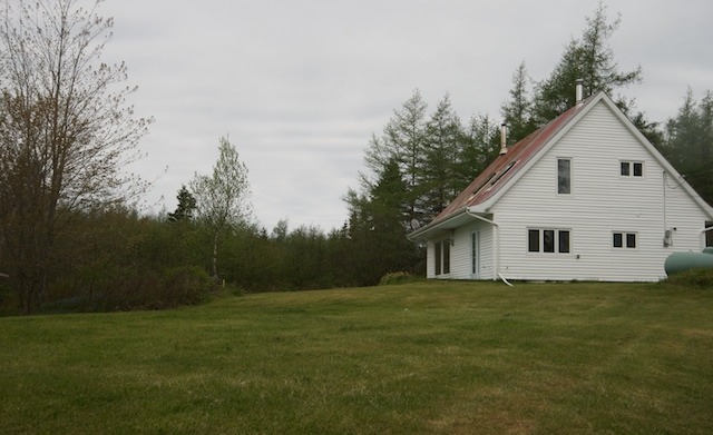 p13.jpg