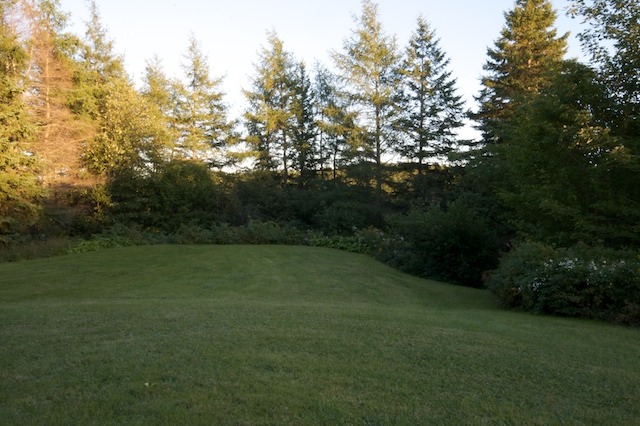 p14.jpg