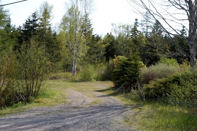 p16.jpg