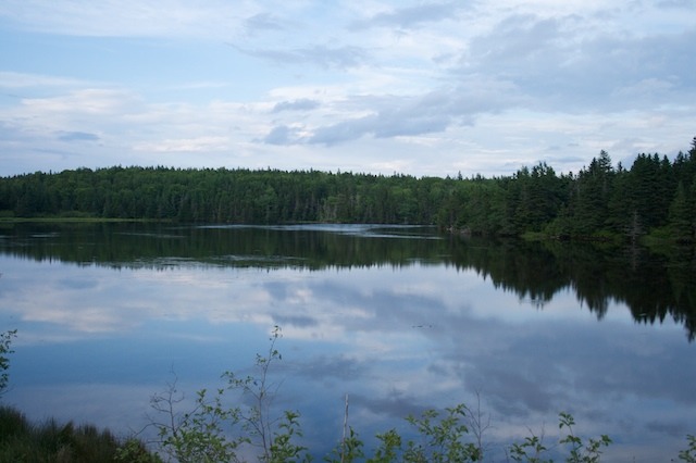 p18.jpg